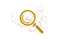 Dein erster Schritt zu besseren Entscheidungen