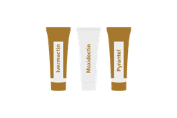 Klare Antworten beim Tierarzt